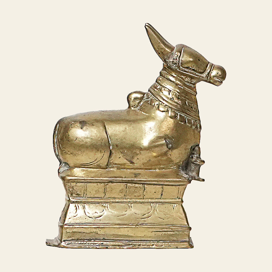 square_BRASS COW(1).jpg